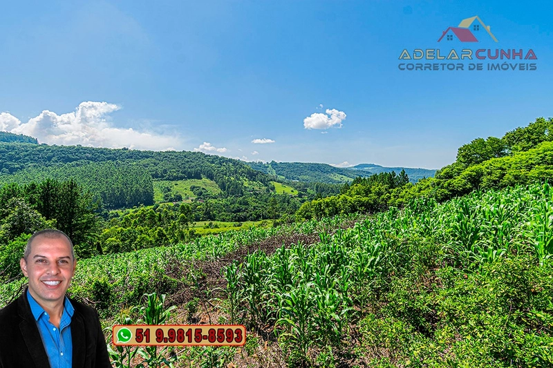 Chácara de 5 hectares com Vista Panorâmica à VENDA Igrejinha - RS: 20ª foto da galeria de imagens do imóvel