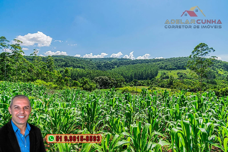 Chácara de 5 hectares com Vista Panorâmica à VENDA Igrejinha - RS: 7ª foto da galeria de imagens do imóvel