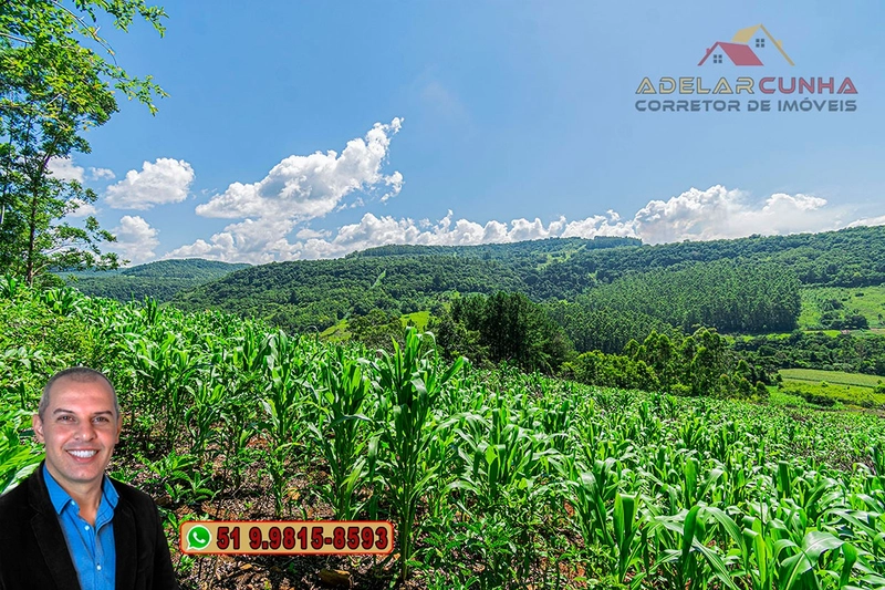Chácara de 5 hectares com Vista Panorâmica à VENDA Igrejinha - RS: 16ª foto da galeria de imagens do imóvel