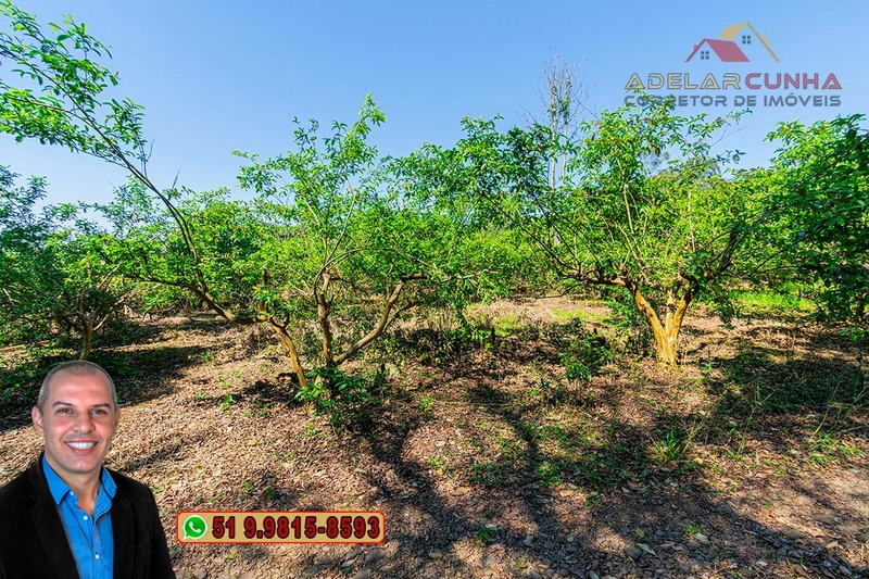 Sítio de 9 hectares à VENDA Igrejinha - RS: 17ª foto da galeria de imagens do imóvel
