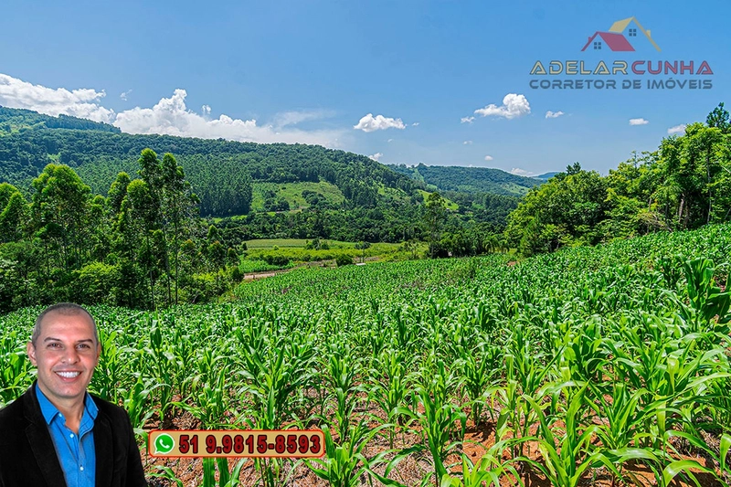 Chácara de 5 hectares com Vista Panorâmica à VENDA Igrejinha - RS: 1ª foto da galeria de imagens do imóvel