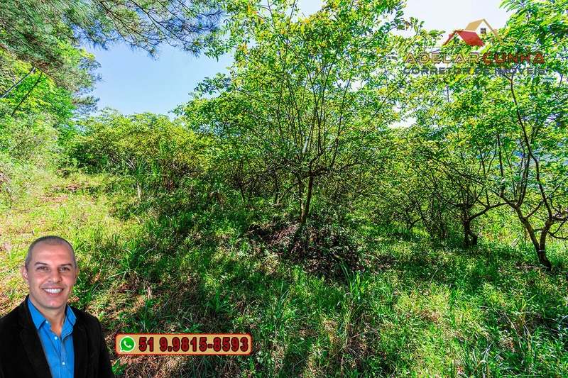 Sítio de 9 hectares à VENDA Igrejinha - RS: 21ª foto da galeria de imagens do imóvel