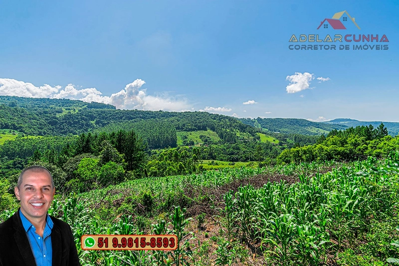 Chácara de 5 hectares com Vista Panorâmica à VENDA Igrejinha - RS: 19ª foto da galeria de imagens do imóvel