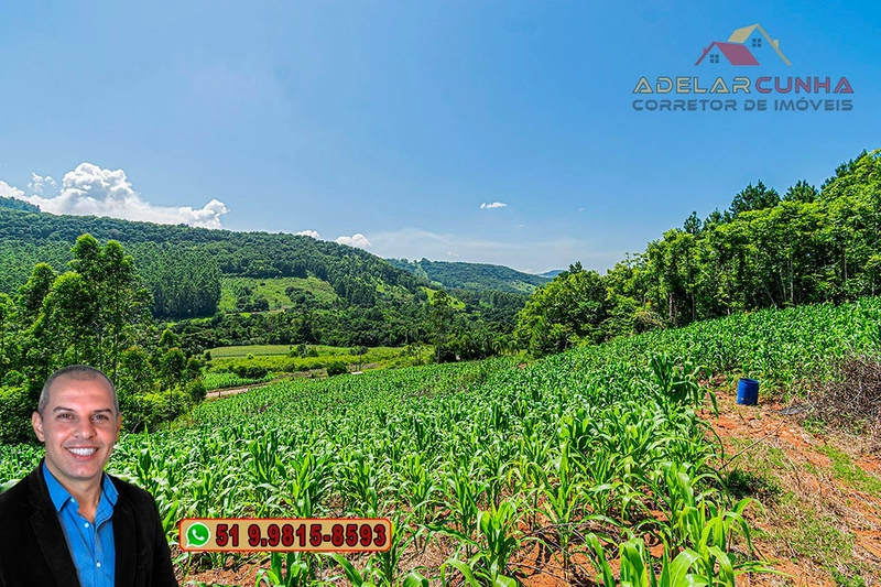 Chácara de 5 hectares com Vista Panorâmica à VENDA Igrejinha - RS: 10ª foto da galeria de imagens do imóvel