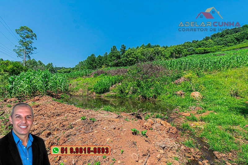 Chácara de 5 hectares com Vista Panorâmica à VENDA Igrejinha - RS: 32ª foto da galeria de imagens do imóvel
