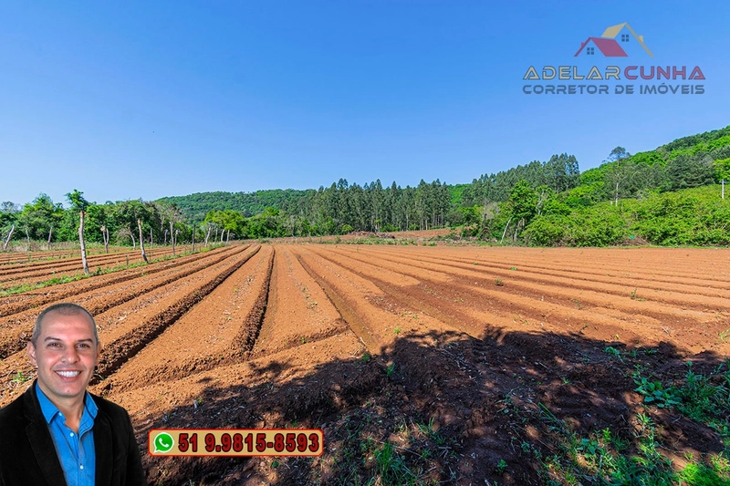Sítio de 9 hectares à VENDA Igrejinha - RS: 13ª foto da galeria de imagens do imóvel
