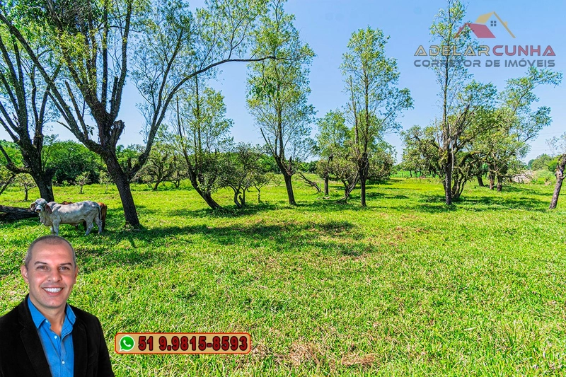 Sítio de 1.9 hectares à VENDA em Estância Velha - RS: 21ª foto da galeria de imagens do imóvel