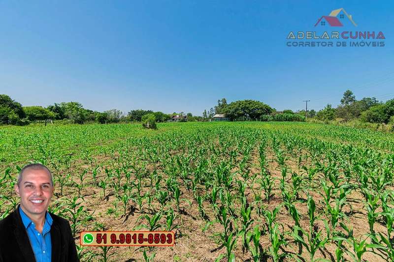 Sítio de 1.9 hectares à VENDA em Estância Velha - RS: 11ª foto da galeria de imagens do imóvel