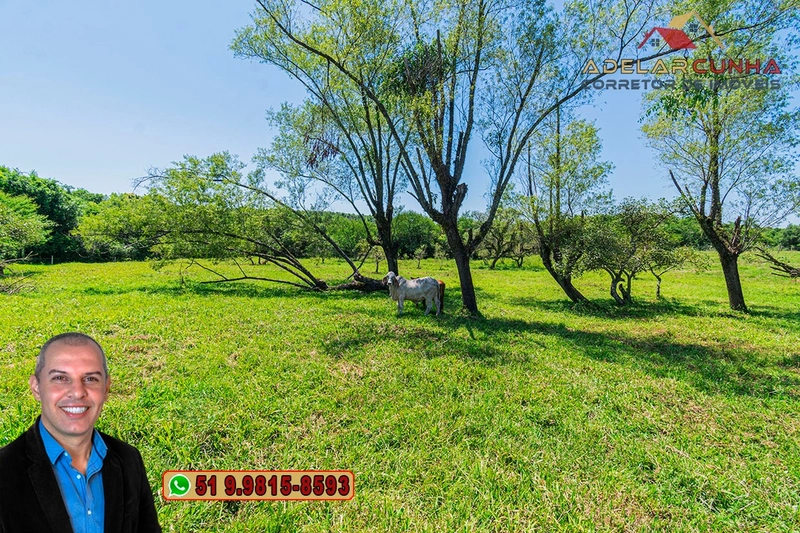 Sítio de 1.9 hectares à VENDA em Estância Velha - RS: 20ª foto da galeria de imagens do imóvel