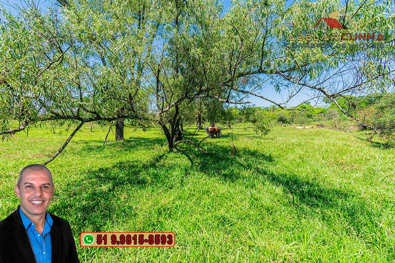 Sítio de 1.9 hectares à VENDA em Estância Velha - RS: 18ª foto da galeria de imagens do imóvel
