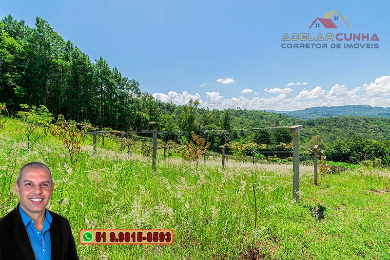 Chácara 8 hectares à VENDA em Três Coroas - RS : 62ª foto da galeria de imagens do imóvel