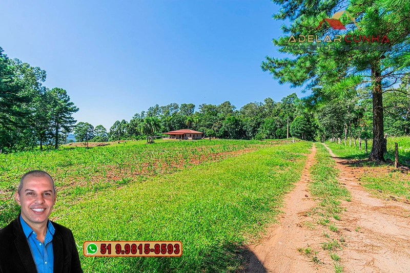 Chácara 8 hectares à VENDA em Três Coroas - RS : 2ª foto da galeria de imagens do imóvel
