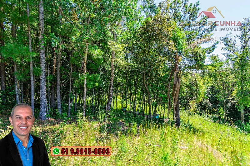 Chácara 8 hectares à VENDA em Três Coroas - RS : 63ª foto da galeria de imagens do imóvel