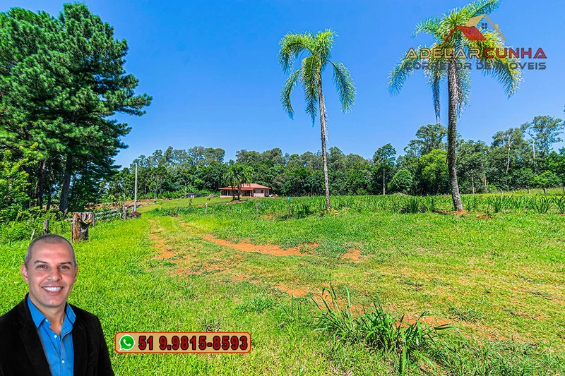 Chácara 8 hectares à VENDA em Três Coroas - RS : 4ª foto da galeria de imagens do imóvel