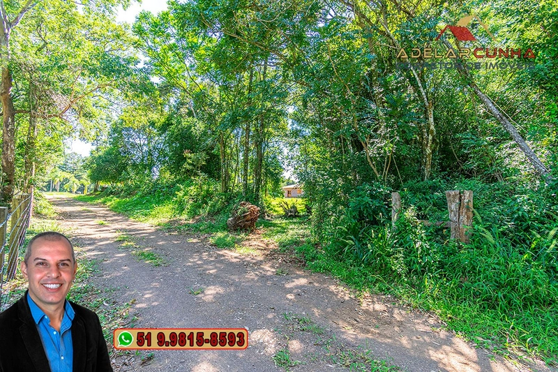 Chácara 8 hectares à VENDA em Três Coroas - RS : 10ª foto da galeria de imagens do imóvel