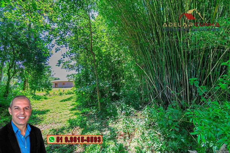 Chácara 8 hectares à VENDA em Três Coroas - RS : 11ª foto da galeria de imagens do imóvel