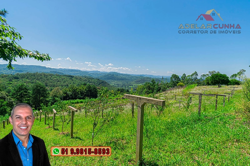 Chácara 8 hectares à VENDA em Três Coroas - RS : 60ª foto da galeria de imagens do imóvel