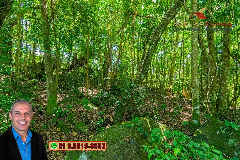 Chácara 8 hectares à VENDA em Três Coroas - RS : 65ª foto da galeria de imagens do imóvel