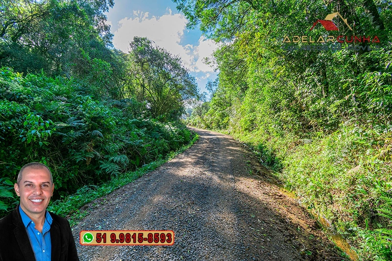 Chácara de 3.9 hectares à VENDA em Três Coroas - RS: 63ª foto da galeria de imagens do imóvel