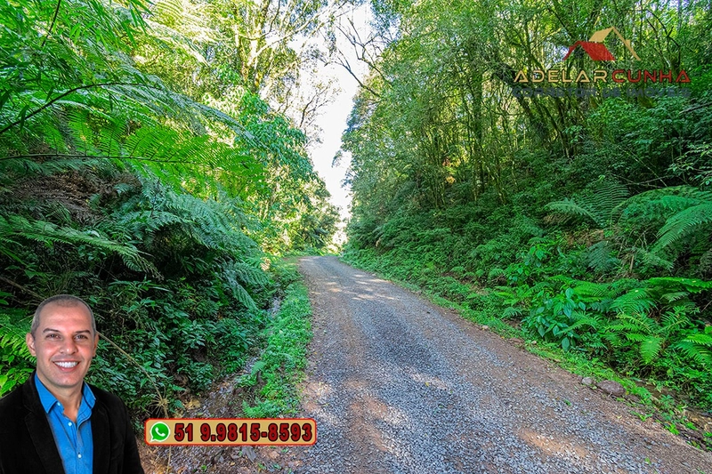 Chácara de 3.9 hectares à VENDA em Três Coroas - RS: 62ª foto da galeria de imagens do imóvel