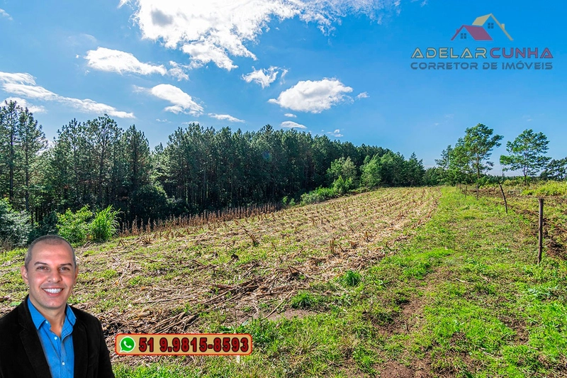 Chácara de 3.9 hectares à VENDA em Três Coroas - RS: 12ª foto da galeria de imagens do imóvel