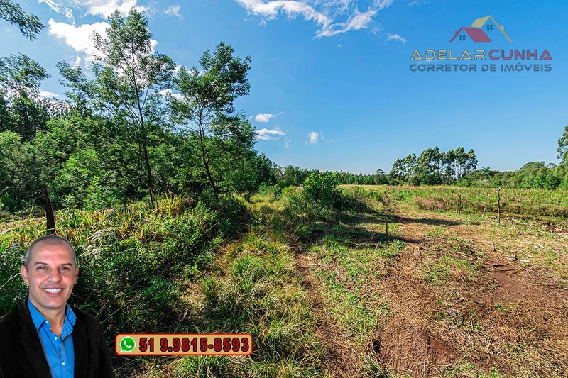 Chácara de 3.9 hectares à VENDA em Três Coroas - RS: 50ª foto da galeria de imagens do imóvel