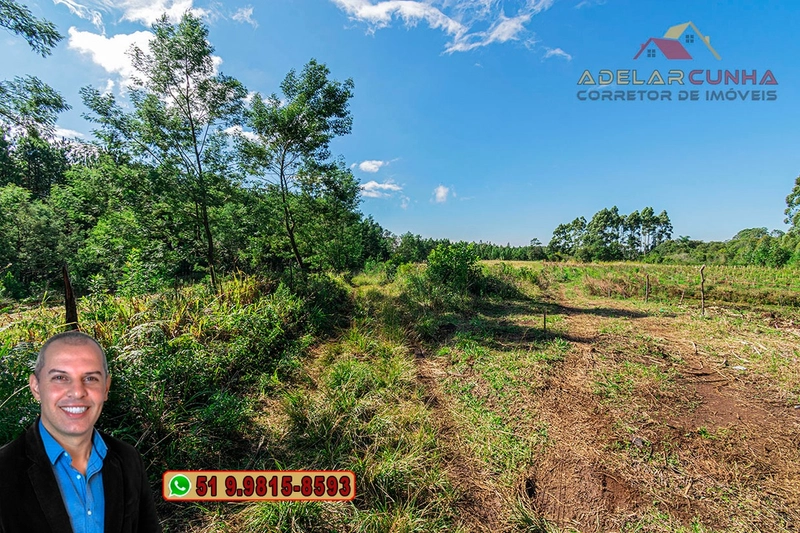 Chácara de 3.9 hectares à VENDA em Três Coroas - RS: 13ª foto da galeria de imagens do imóvel