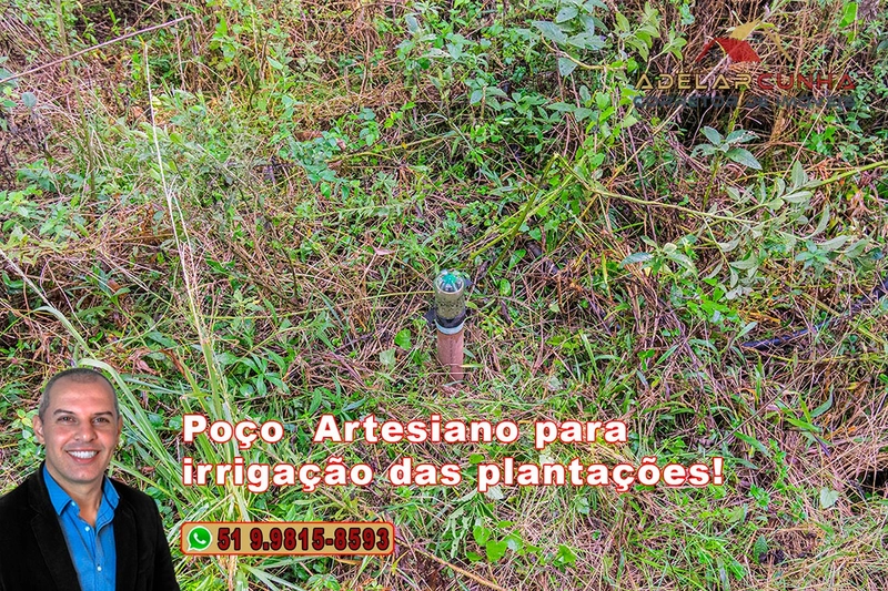 Chácara de 3.9 hectares à VENDA em Três Coroas - RS: 51ª foto da galeria de imagens do imóvel