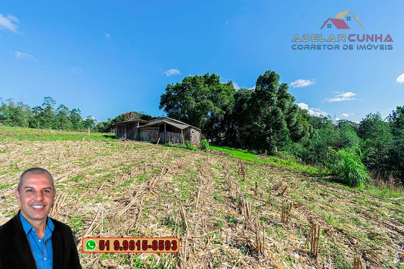 Chácara de 3.9 hectares à VENDA em Três Coroas - RS: 9ª foto da galeria de imagens do imóvel