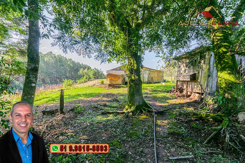Chácara de 3.9 hectares à VENDA em Três Coroas - RS: 49ª foto da galeria de imagens do imóvel
