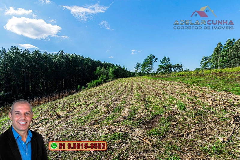 Chácara de 3.9 hectares à VENDA em Três Coroas - RS: 56ª foto da galeria de imagens do imóvel