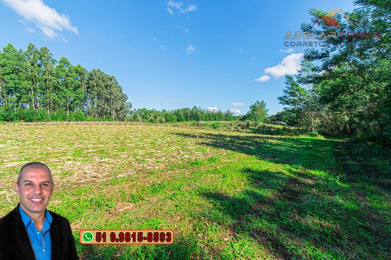 Chácara de 3.9 hectares à VENDA em Três Coroas - RS: 16ª foto da galeria de imagens do imóvel