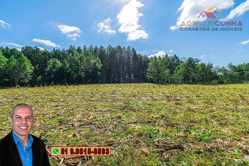 Chácara de 3.9 hectares à VENDA em Três Coroas - RS: 58ª foto da galeria de imagens do imóvel