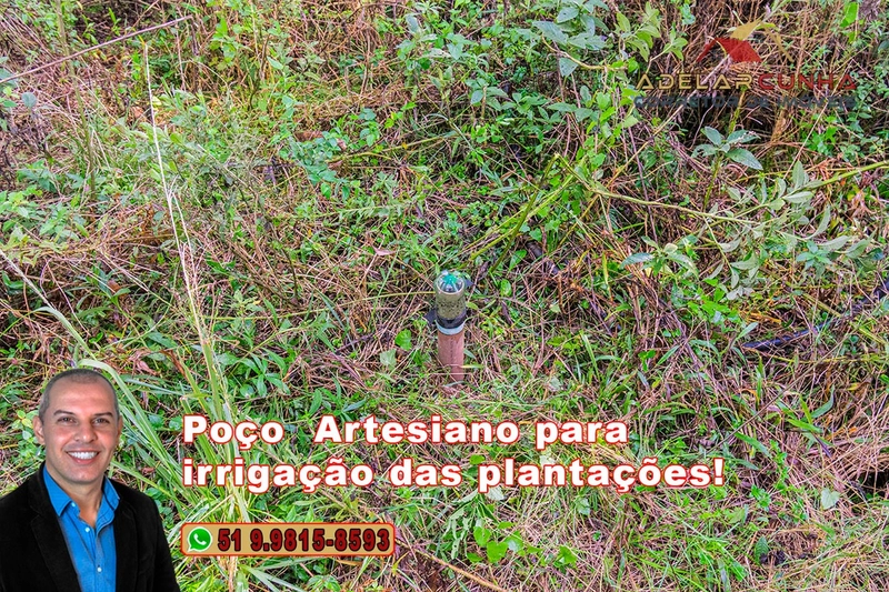 Chácara de 3.9 hectares à VENDA em Três Coroas - RS: 14ª foto da galeria de imagens do imóvel
