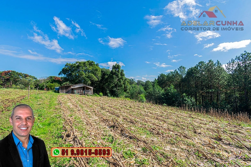 Chácara de 3.9 hectares à VENDA em Três Coroas - RS: 10ª foto da galeria de imagens do imóvel