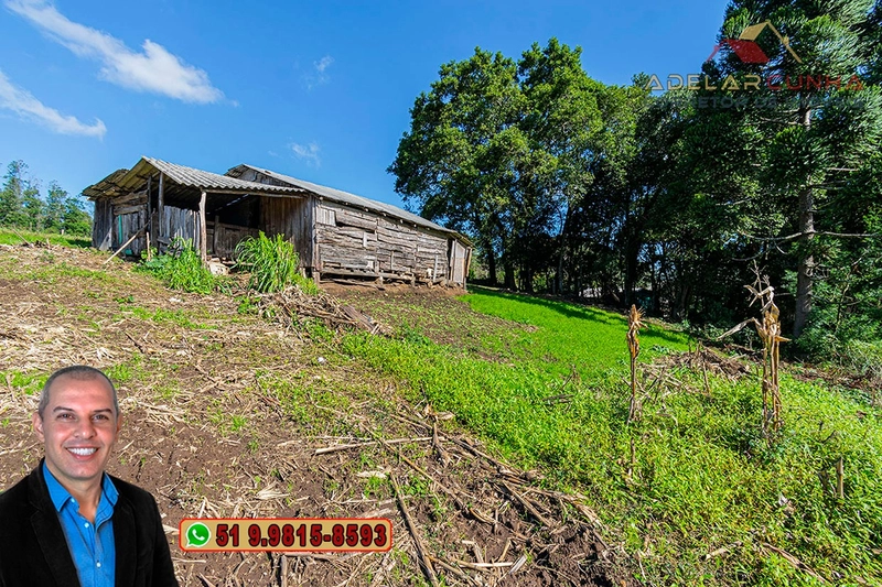 Chácara de 3.9 hectares à VENDA em Três Coroas - RS: 45ª foto da galeria de imagens do imóvel
