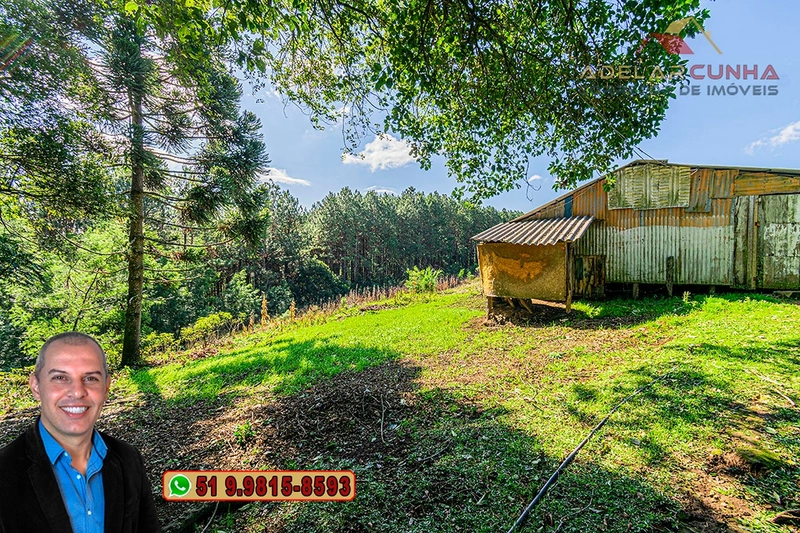 Chácara de 3.9 hectares à VENDA em Três Coroas - RS: 36ª foto da galeria de imagens do imóvel