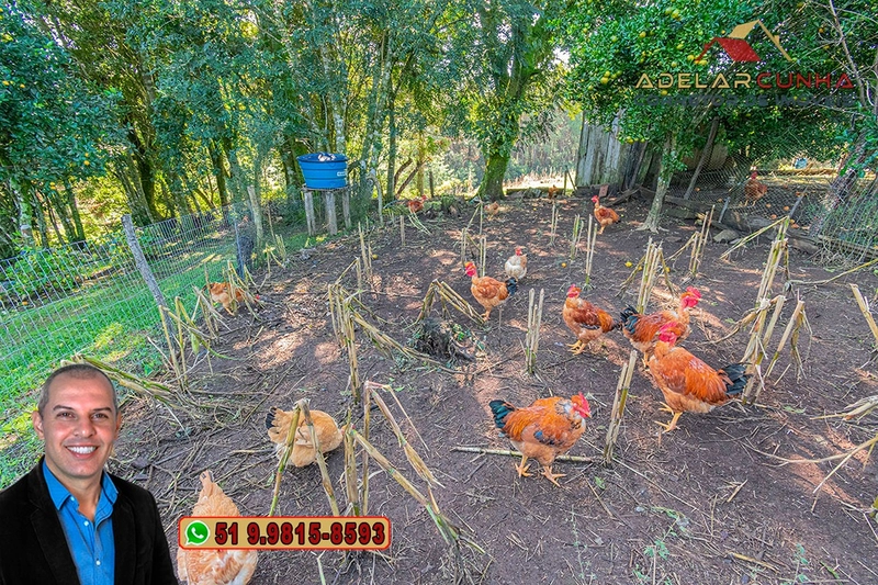 Chácara de 3.9 hectares à VENDA em Três Coroas - RS: 34ª foto da galeria de imagens do imóvel