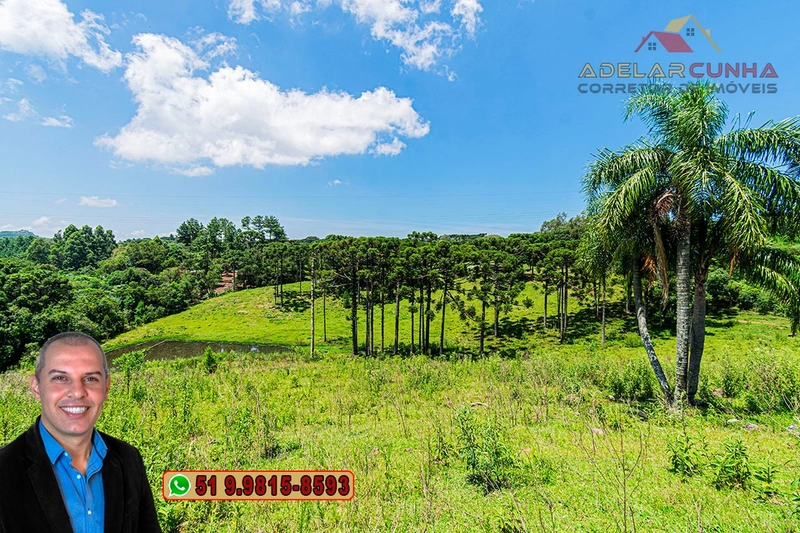 Sítio de 7 hectares à VENDA em Serra Grande, Gramado - RS: 23ª foto da galeria de imagens do imóvel