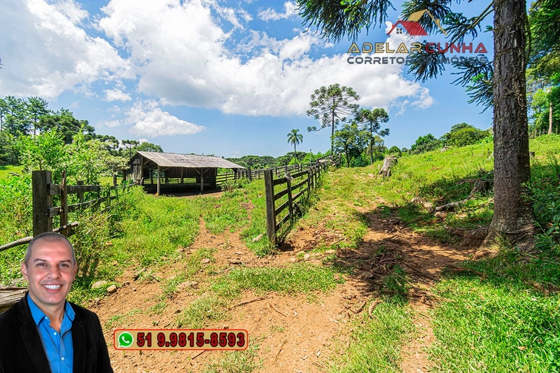 Sítio de 7 hectares à VENDA em Serra Grande, Gramado - RS: 11ª foto da galeria de imagens do imóvel