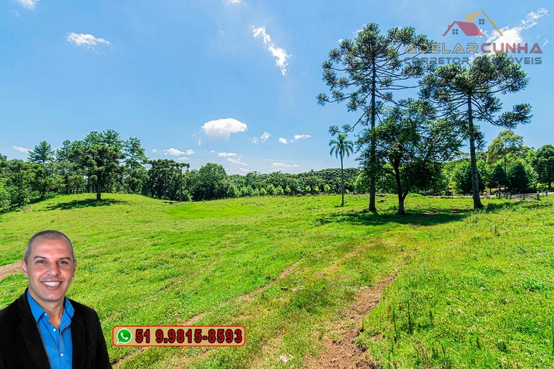 Sítio de 7 hectares à VENDA em Serra Grande, Gramado - RS: 7ª foto da galeria de imagens do imóvel