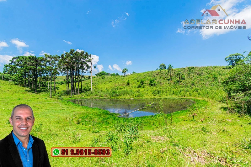 Sítio de 7 hectares à VENDA em Serra Grande, Gramado - RS: 18ª foto da galeria de imagens do imóvel