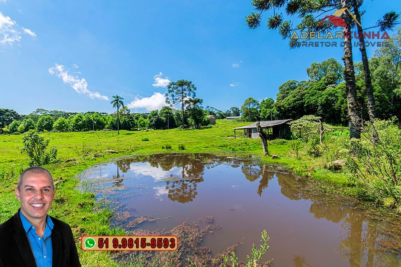Sítio de 7 hectares à VENDA em Serra Grande, Gramado - RS: 5ª foto da galeria de imagens do imóvel