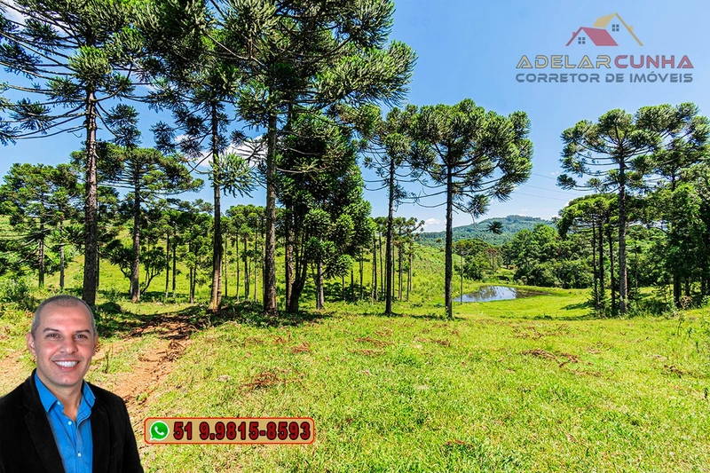 Sítio de 7 hectares à VENDA em Serra Grande, Gramado - RS: 15ª foto da galeria de imagens do imóvel