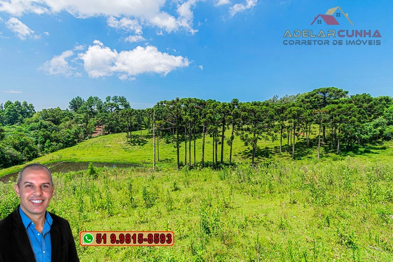 Sítio de 7 hectares à VENDA em Serra Grande, Gramado - RS: 22ª foto da galeria de imagens do imóvel