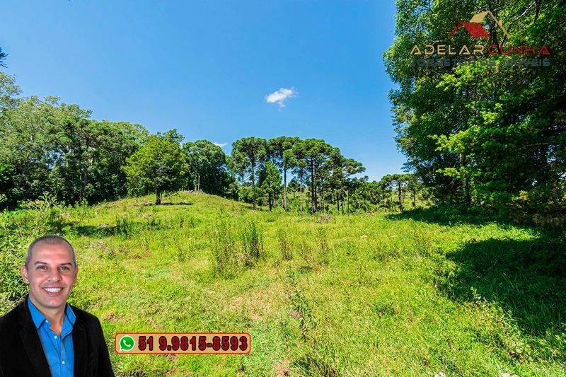 Sítio de 7 hectares à VENDA em Serra Grande, Gramado - RS: 14ª foto da galeria de imagens do imóvel