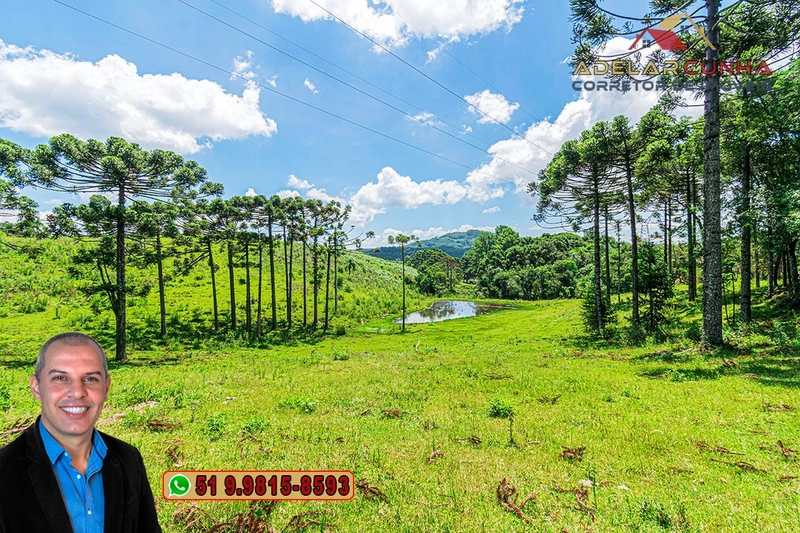 Sítio de 7 hectares à VENDA em Serra Grande, Gramado - RS: 16ª foto da galeria de imagens do imóvel
