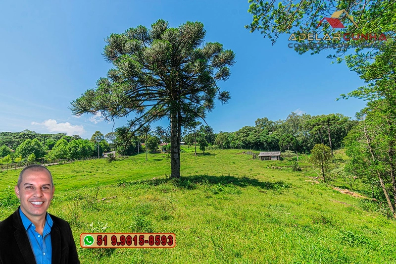 Sítio de 7 hectares à VENDA em Serra Grande, Gramado - RS: 4ª foto da galeria de imagens do imóvel