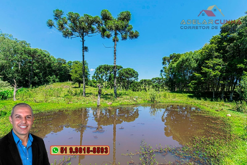 Sítio de 7 hectares à VENDA em Serra Grande, Gramado - RS: 6ª foto da galeria de imagens do imóvel