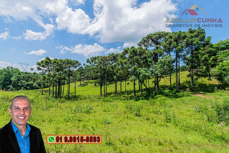 Sítio de 7 hectares à VENDA em Serra Grande, Gramado - RS: 21ª foto da galeria de imagens do imóvel